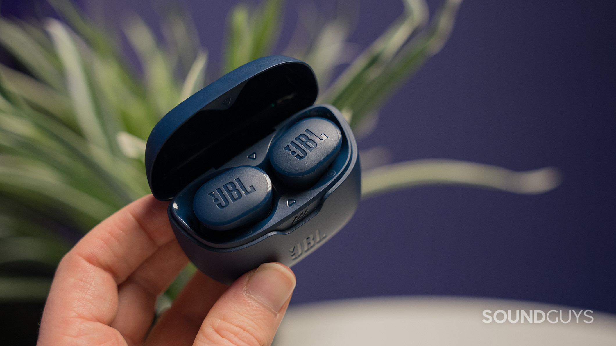 A hand shows the JBL Tune Buds in their charging case in front of a plant. 