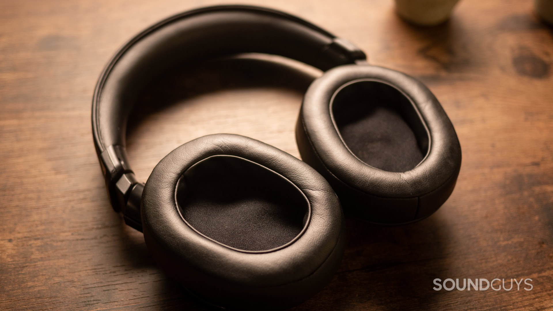 sony-mdr-m1-pads A close-up photo of the Sony MDR-M1's ear pads.