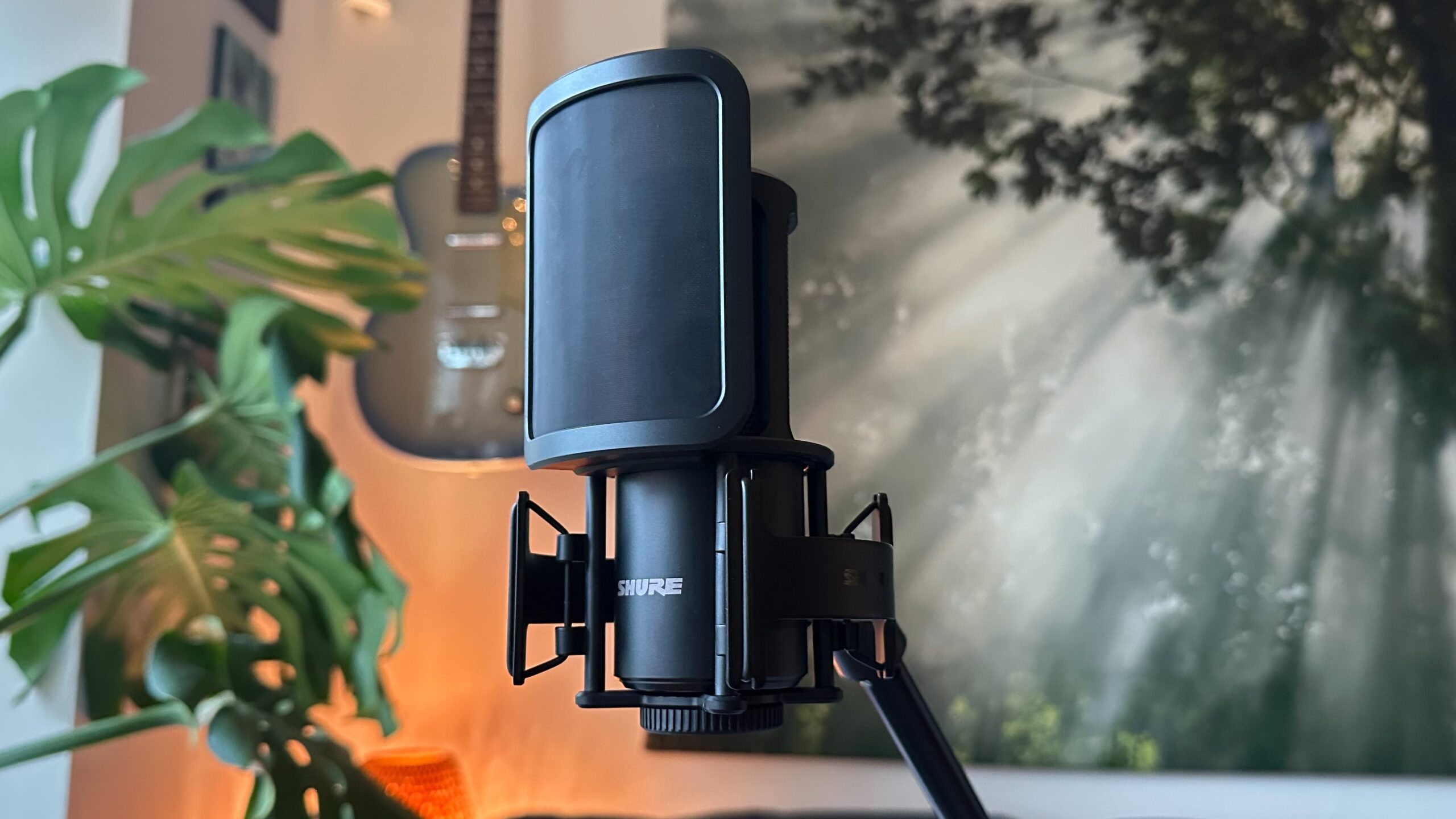 Shure SM4_hero with windscreen
