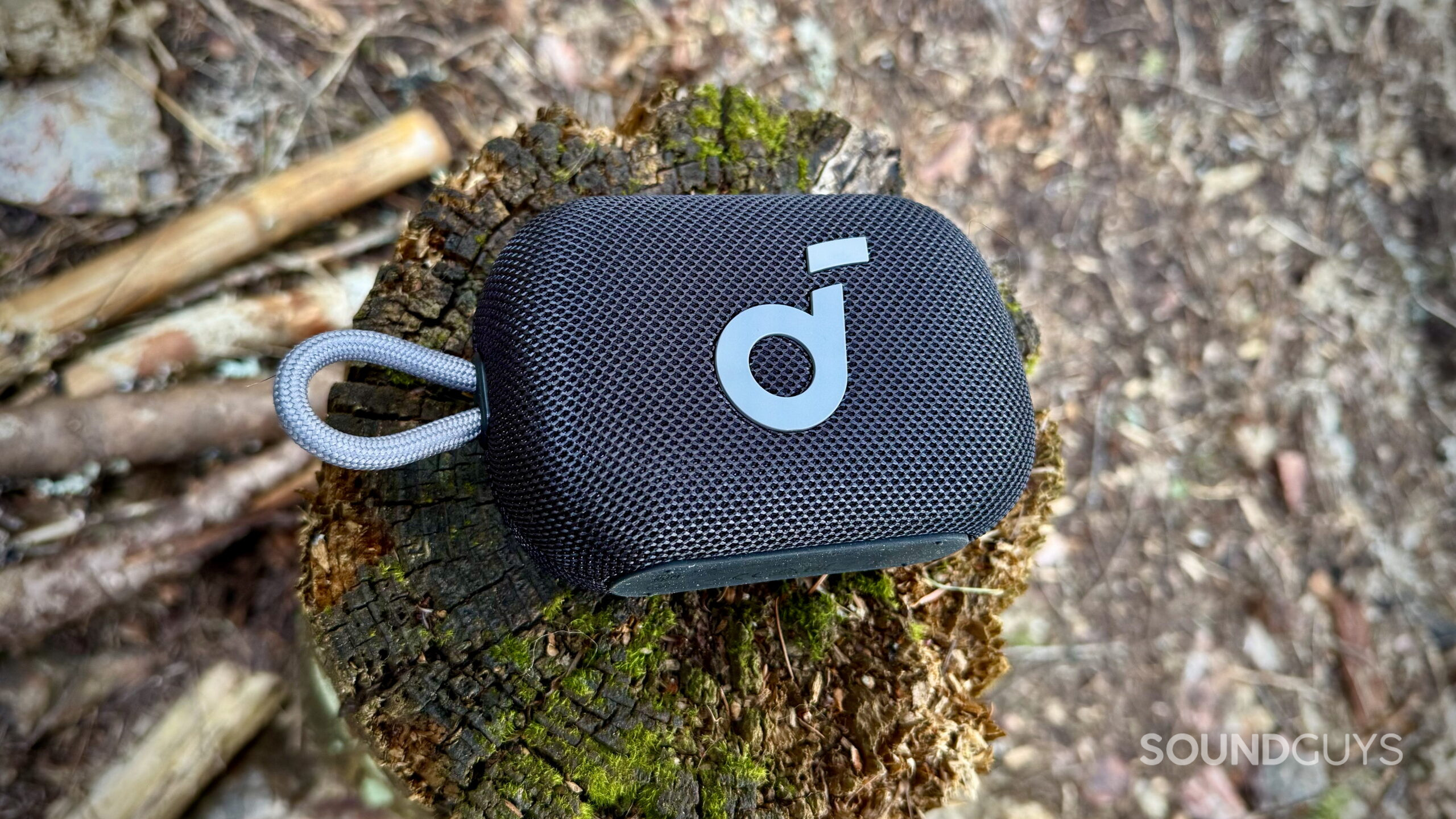 Select 4 Go - 2 A Soundcore Select 4 Go speaker resting on a log in the woods.