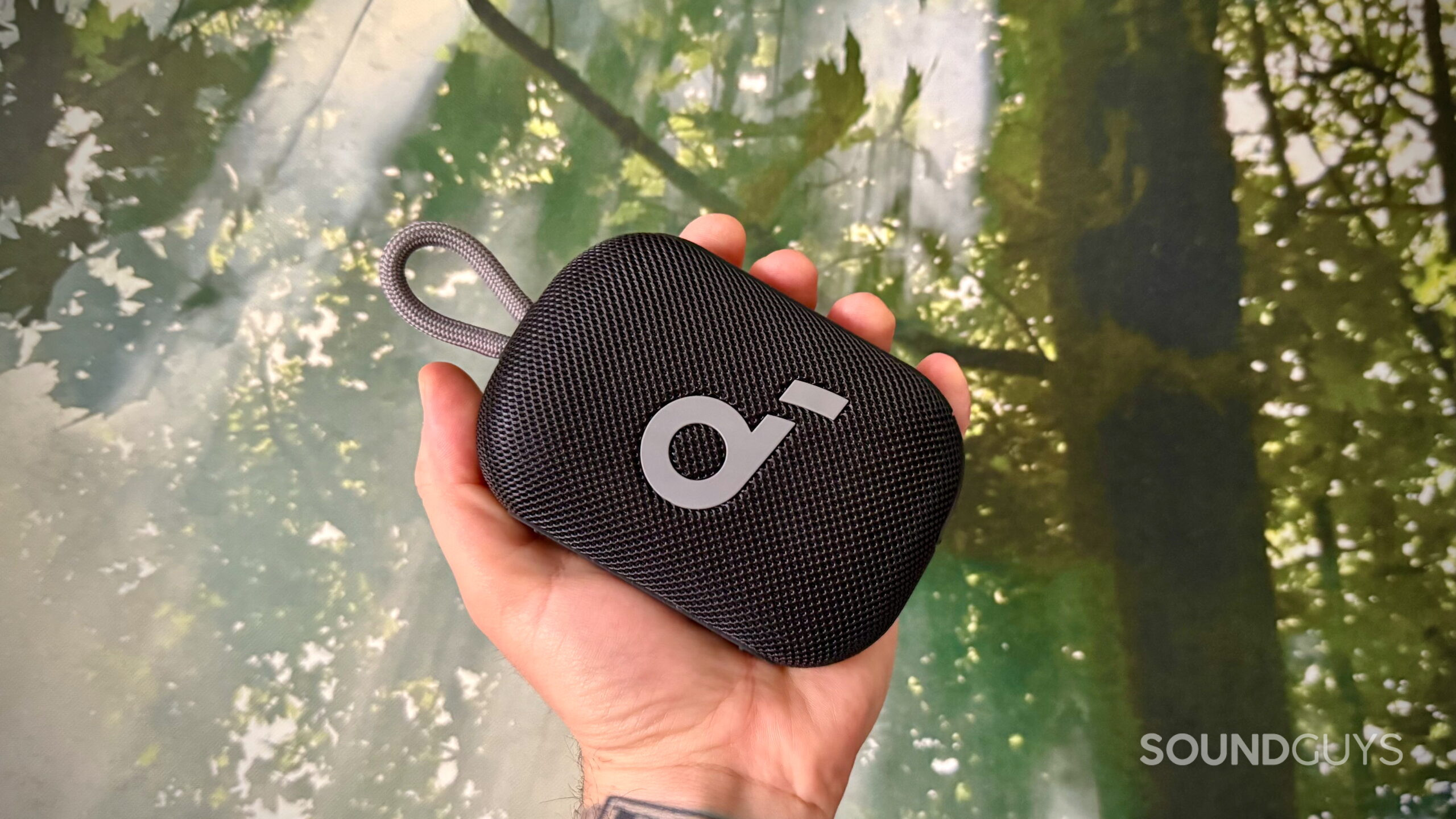Select 4 Go - 6 A hand holding the Soundcore Select 4 Go speaker in front of a nature print.