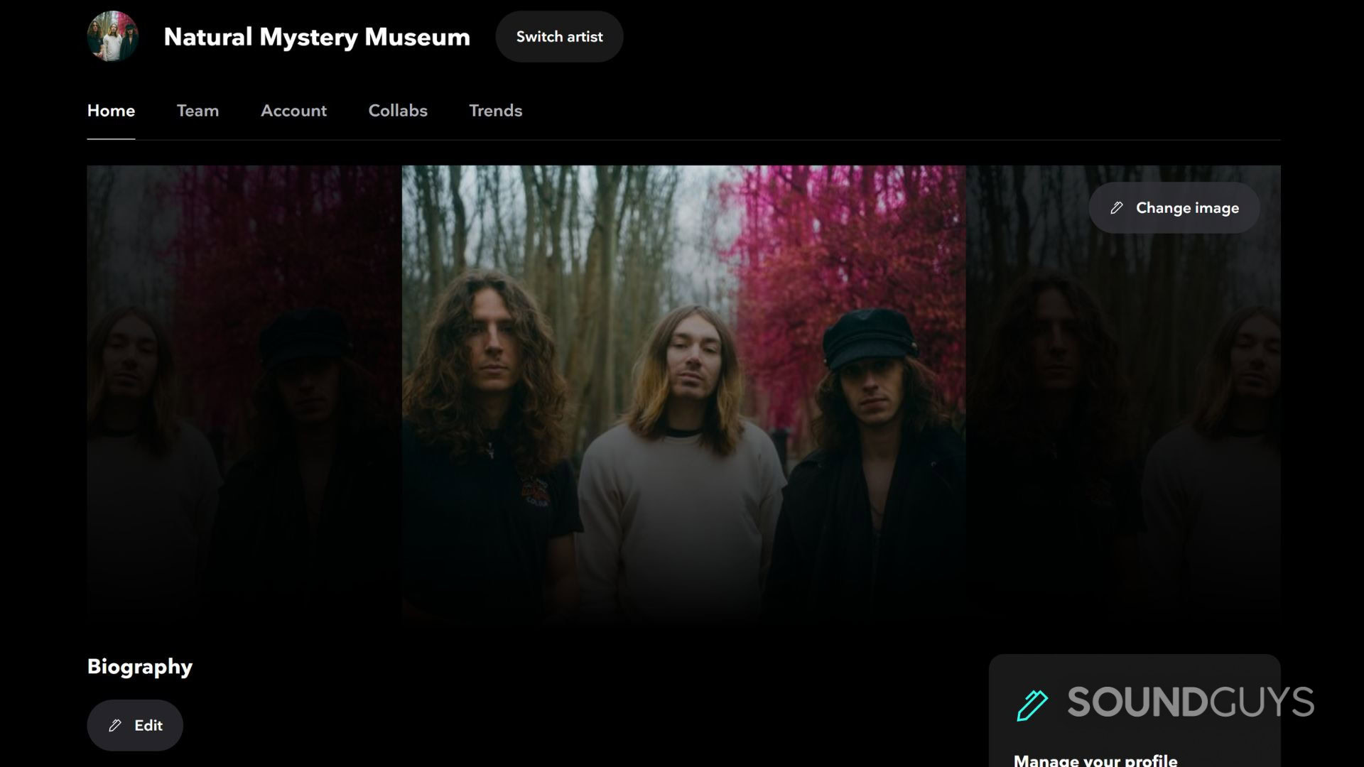Natural-Mystery-Museum-Tidal-Header-Image A screenshot of the Tidal Artists web app.