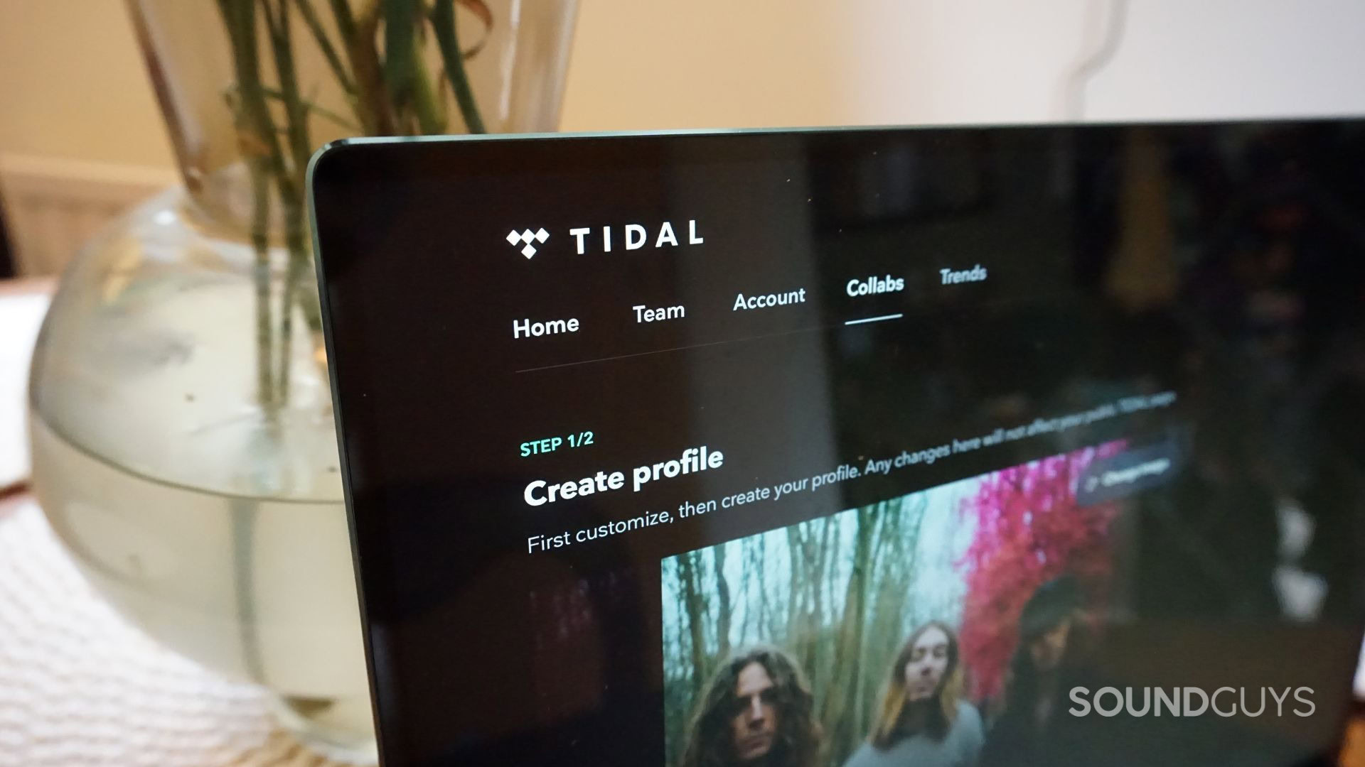 Natural-Mystery-Museum-Tidal A photograph of the Tidal Artist app on a laptop.