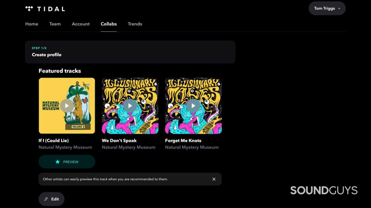 Is Tidal actually good for artists? - SoundGuys