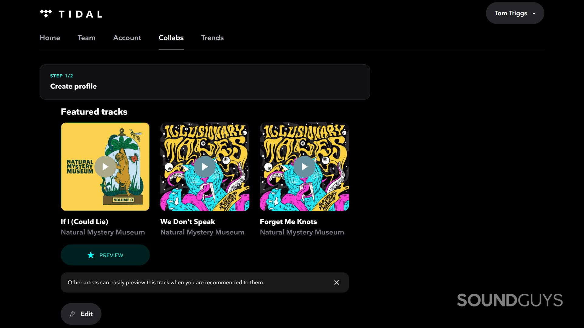 Tidal-Artist-Collabs-Repertoire A screenshot of the Tidal Artist Collabs tab