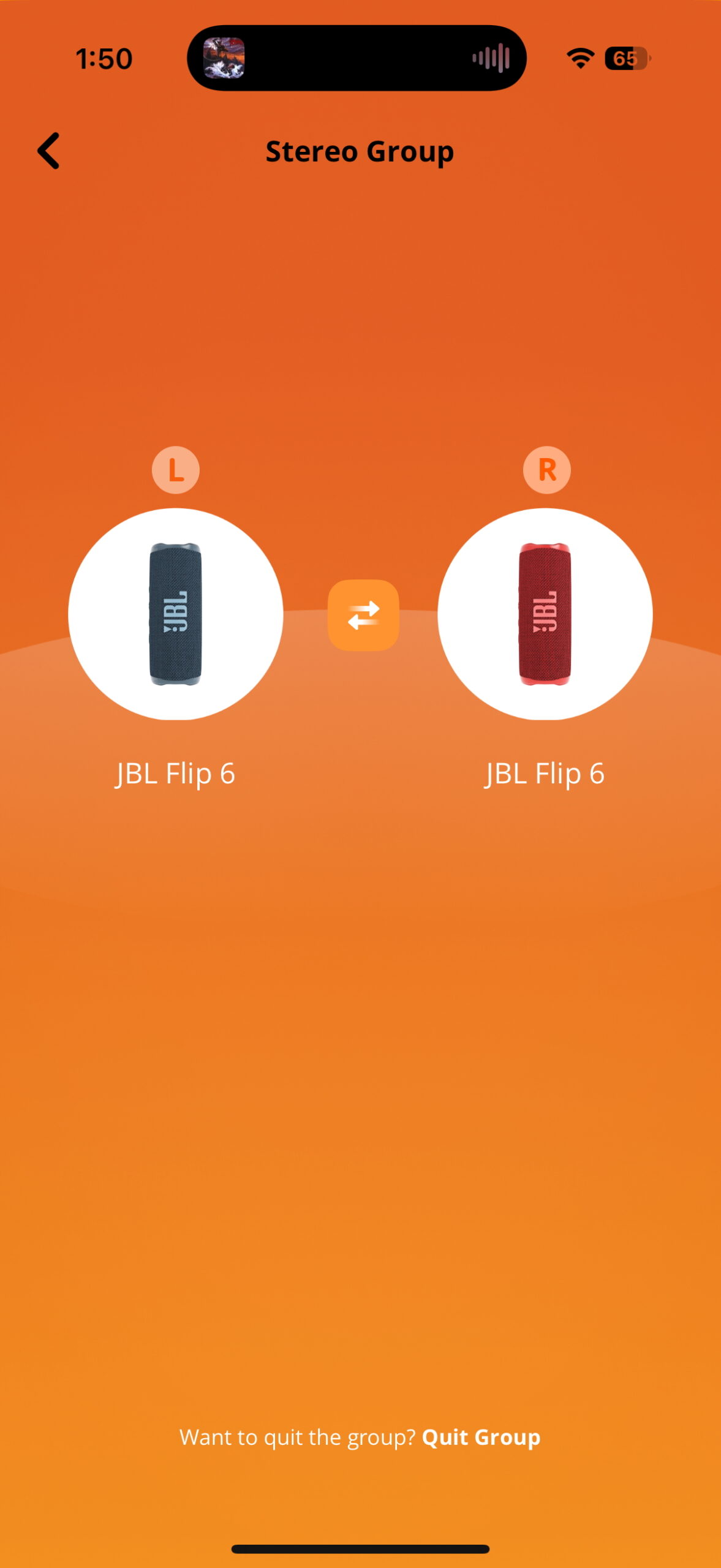 Screenshot of the JBL Portable app while connected to a Flip 6