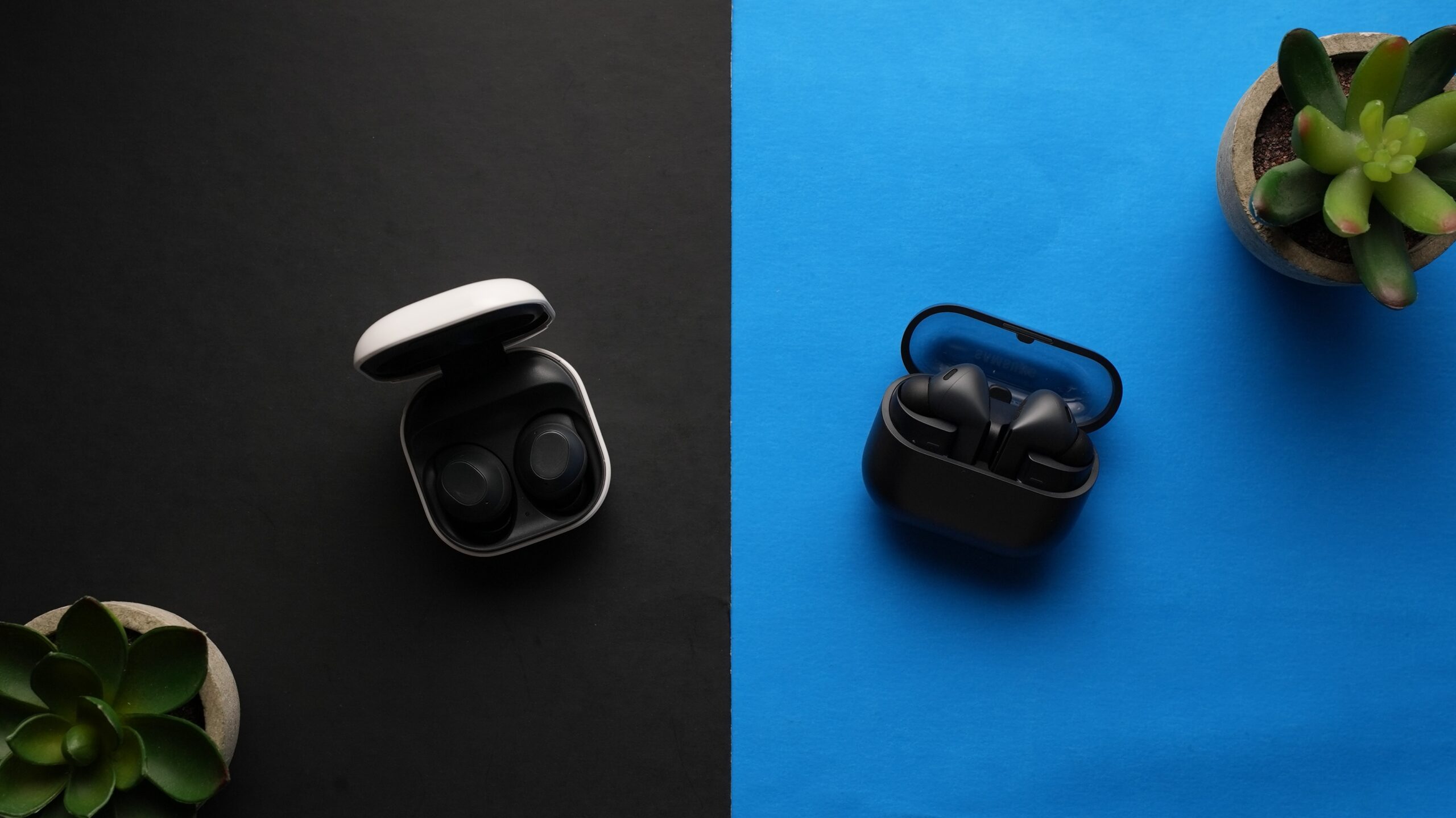 samsung-galaxy-buds-3-FE-vs-samsung-galaxy-buds-FE The Samsung Galaxy Buds FE sit on a table next to the Galaxy Buds 3 FE, surrounded by plants.