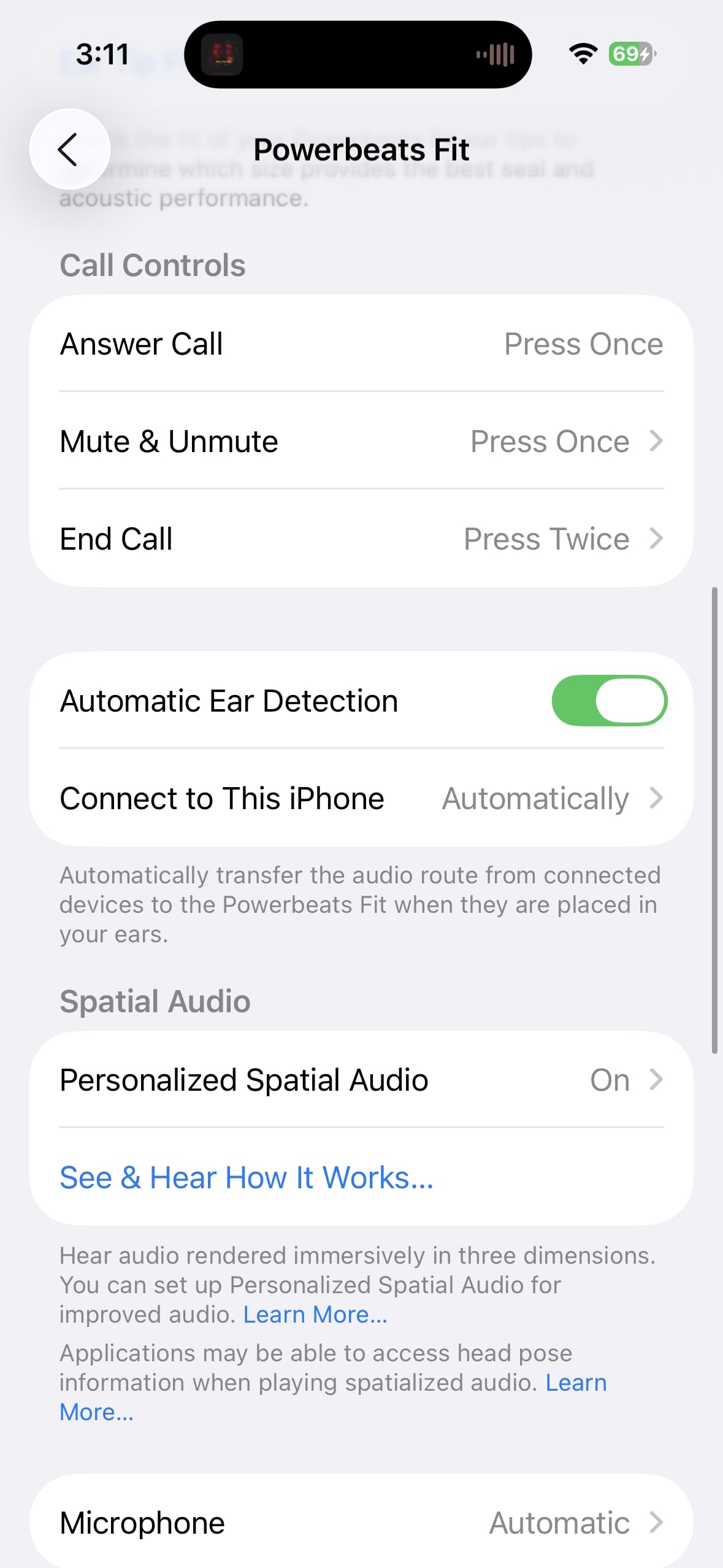 Powerbeats Fit iOS controls.
