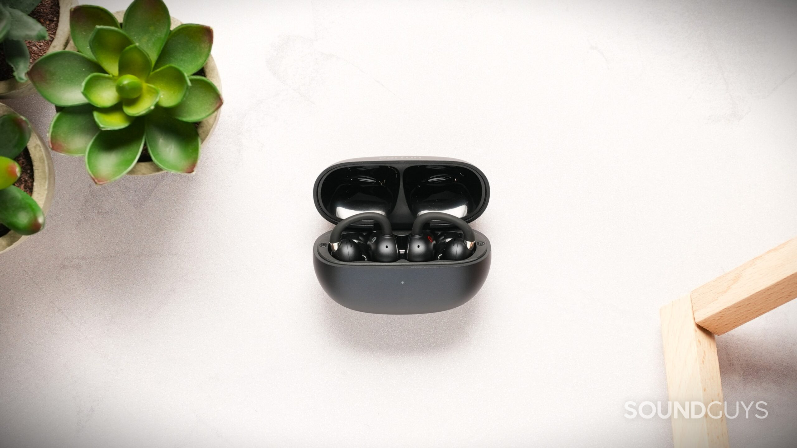 Open a black case of wireless earbuds with clip-on style earbuds inside on a bright tablet, with a small green succulent nearby.