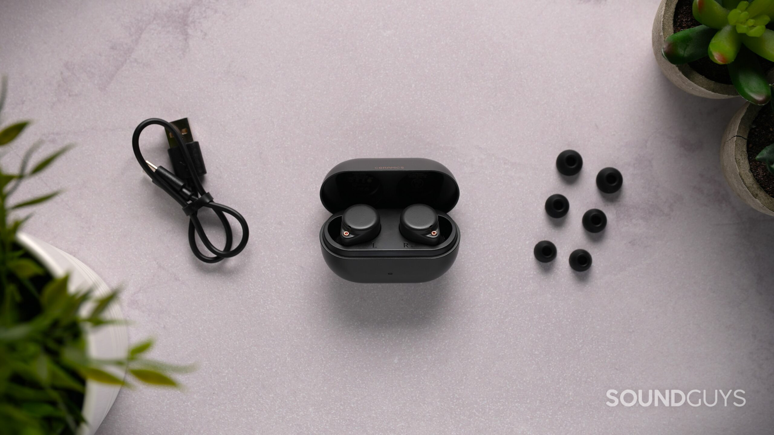 The ROSESELSA Ceramics Ultra earbuds and open charging case displayed with a USB charging cable and multiple ear tip sizes.