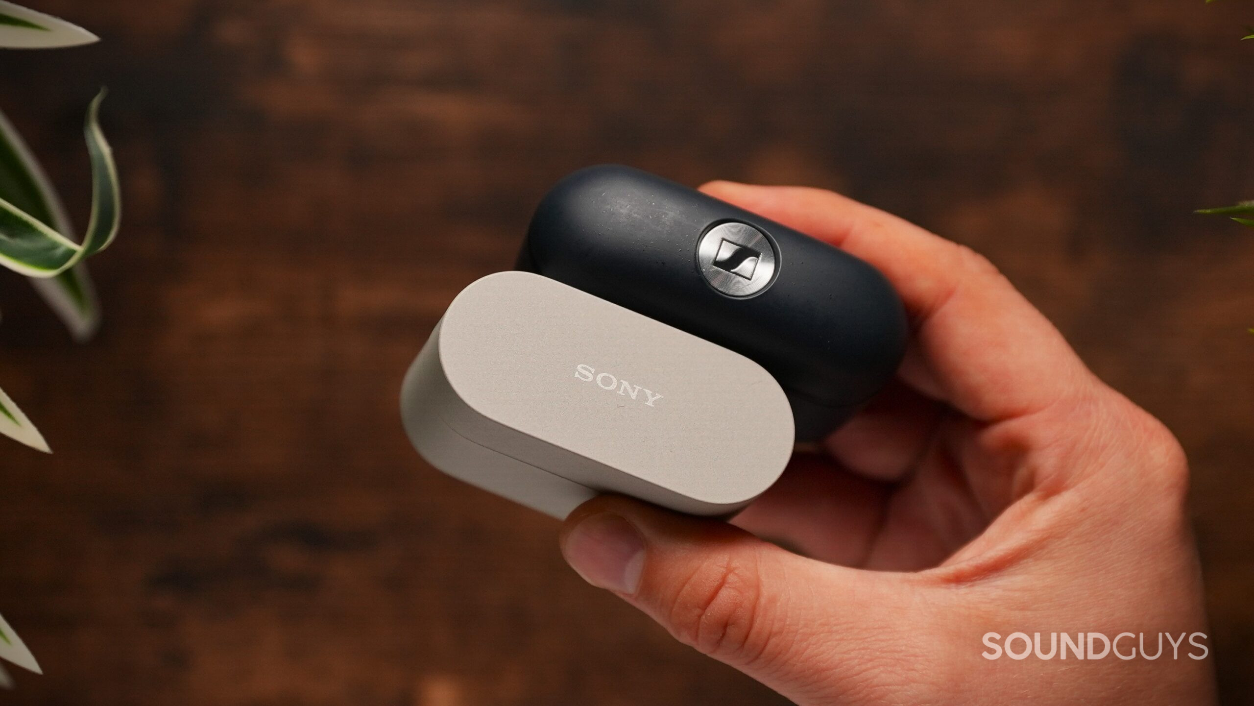A hand holds the closed beige Sony WF-1000XM6 and black Sennheiser MOMENTUM True Wireless 5 charging cases.