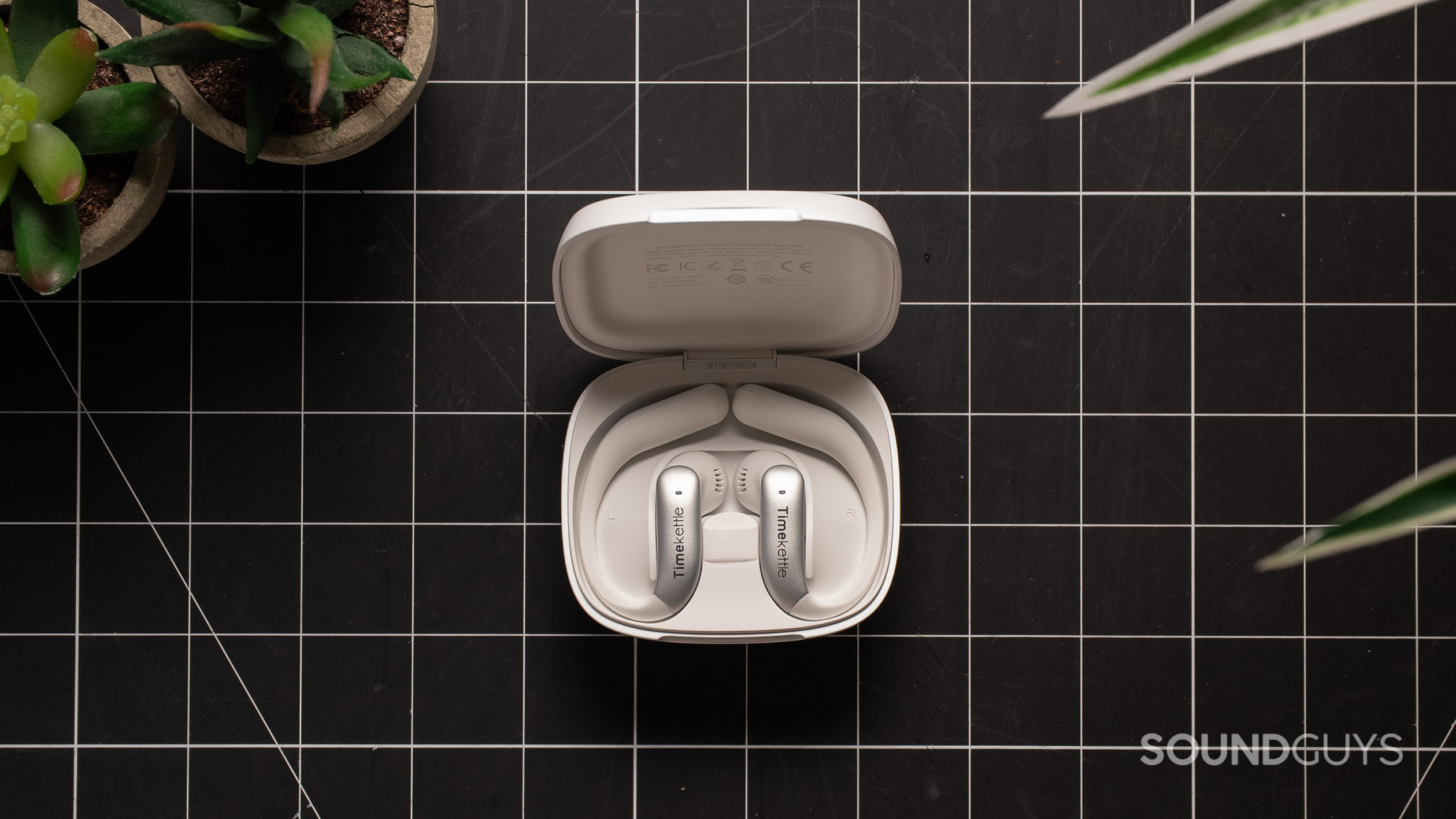 Timekettle Livetalk earbuds in case Timekettle Livetalk earbuds in case.